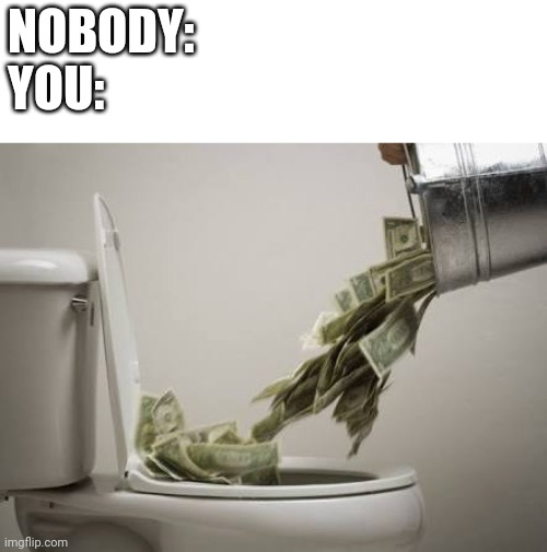 Waste of money | NOBODY:
YOU: | image tagged in waste of money | made w/ Imgflip meme maker