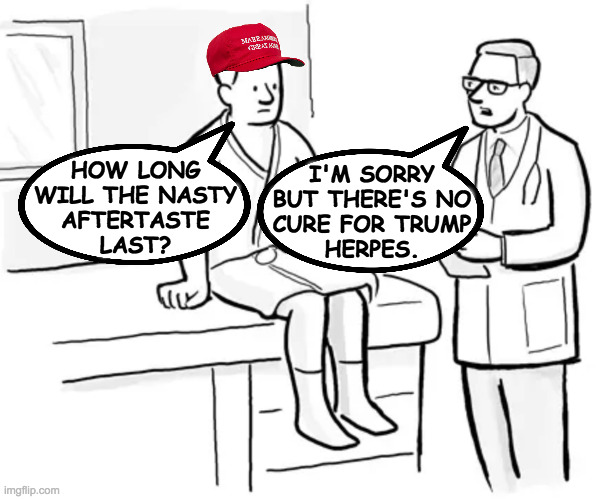 Maybe your kids can learn from your mistake. | I'M SORRY
BUT THERE'S NO
CURE FOR TRUMP
HERPES. HOW LONG
WILL THE NASTY
AFTERTASTE
LAST? | image tagged in memes,endgame,trump herpes,no cure | made w/ Imgflip meme maker