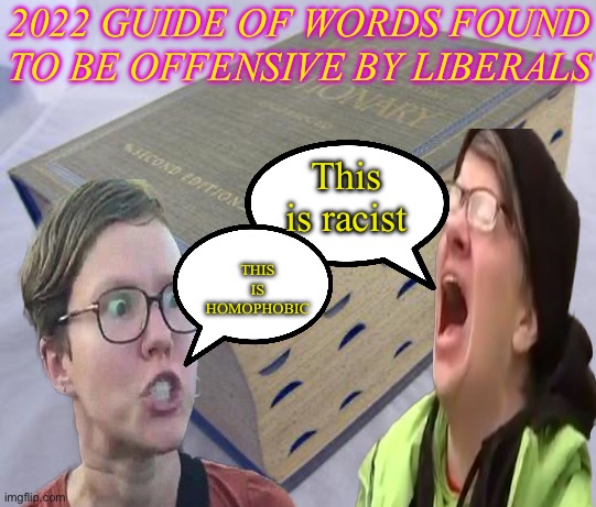 Whatever is missing, a liberal will fine | 2022 GUIDE OF WORDS FOUND TO BE OFFENSIVE BY LIBERALS; This is racist; THIS IS HOMOPHOBIC | image tagged in dictionary,liberals,offended | made w/ Imgflip meme maker