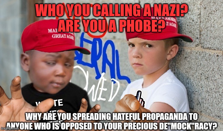 WHO YOU CALLING A NAZI?
ARE YOU A PHOBE? WHY ARE YOU SPREADING HATEFUL PROPAGANDA TO ANYONE WHO IS OPPOSED TO YOUR PRECIOUS DE"MOCK"RACY? | made w/ Imgflip meme maker