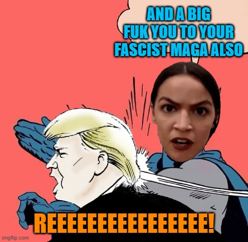 Batman slaps Trump | AND A BIG FUK YOU TO YOUR FASCIST MAGA ALSO REEEEEEEEEEEEEEEE! | image tagged in batman slaps trump | made w/ Imgflip meme maker