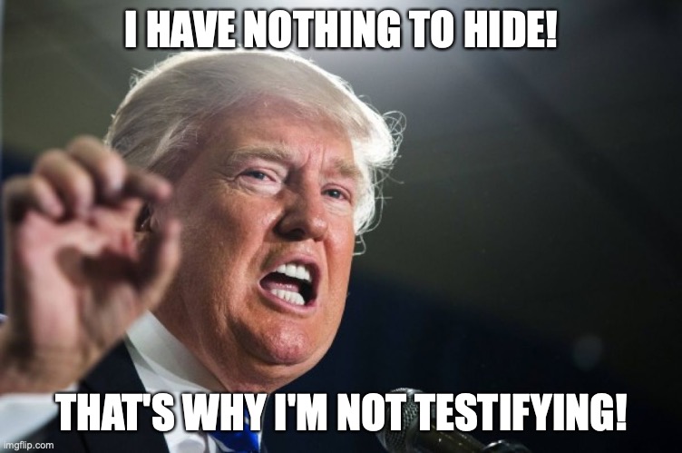 donald trump | I HAVE NOTHING TO HIDE! THAT'S WHY I'M NOT TESTIFYING! | image tagged in donald trump | made w/ Imgflip meme maker