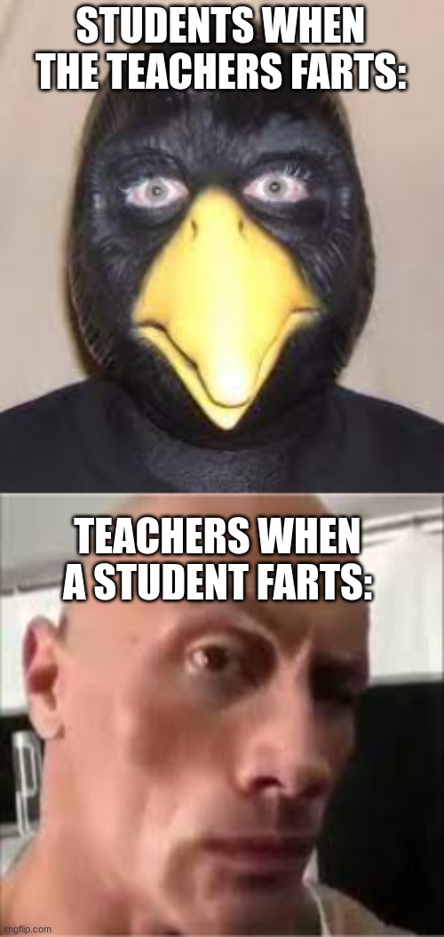 STUDENTS WHEN THE TEACHERS FARTS:; TEACHERS WHEN A STUDENT FARTS: | image tagged in crow | made w/ Imgflip meme maker