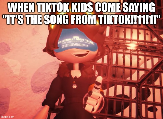 I am literally about to die | WHEN TIKTOK KIDS COME SAYING "IT'S THE SONG FROM TIKTOK!!11!1!" | image tagged in i am literally about to die | made w/ Imgflip meme maker