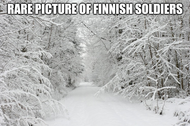 Can u PLZ upvote | RARE PICTURE OF FINNISH SOLDIERS | image tagged in snowy forest | made w/ Imgflip meme maker