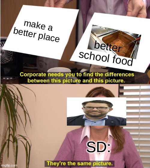 They're The Same Picture | make a better place; better school food; SD: | image tagged in memes,they're the same picture | made w/ Imgflip meme maker