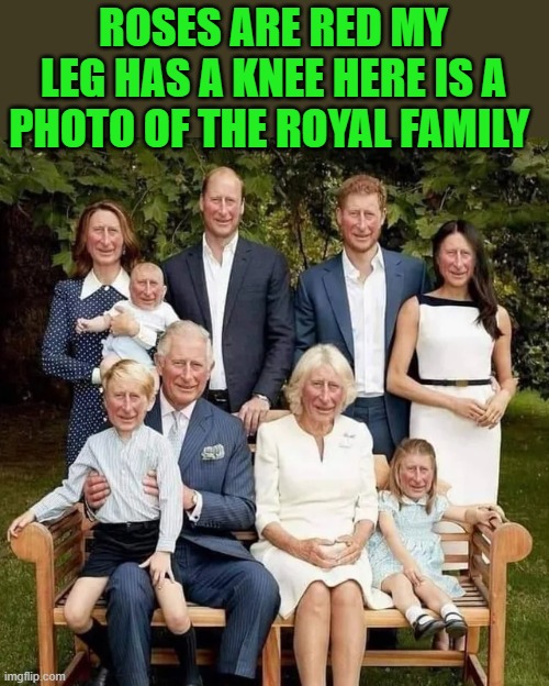 An illustrated poem by kewlew | ROSES ARE RED MY LEG HAS A KNEE HERE IS A PHOTO OF THE ROYAL FAMILY | image tagged in poem,kewlew | made w/ Imgflip meme maker