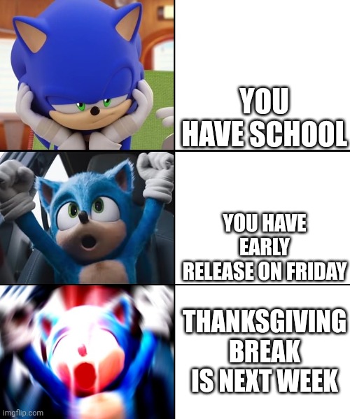 sonic woohoo | YOU HAVE SCHOOL; YOU HAVE EARLY RELEASE ON FRIDAY; THANKSGIVING BREAK IS NEXT WEEK | image tagged in sonic woohoo | made w/ Imgflip meme maker