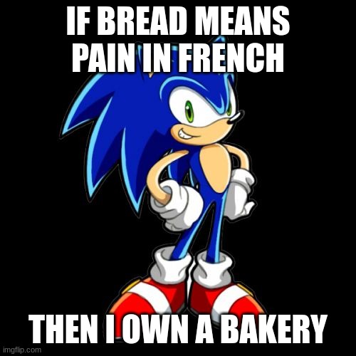 Bread = Pain | IF BREAD MEANS PAIN IN FRENCH; THEN I OWN A BAKERY | image tagged in memes,you're too slow sonic | made w/ Imgflip meme maker
