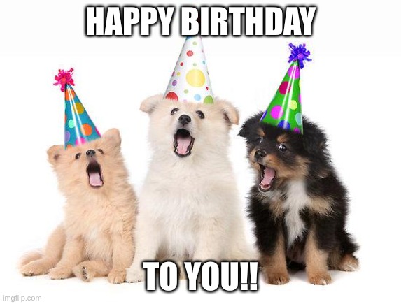 happy birthday puppies | HAPPY BIRTHDAY TO YOU!! | image tagged in happy birthday puppies | made w/ Imgflip meme maker