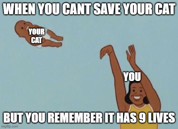 Yeet baby | WHEN YOU CANT SAVE YOUR CAT; YOUR CAT; YOU; BUT YOU REMEMBER IT HAS 9 LIVES | image tagged in yeet baby | made w/ Imgflip meme maker