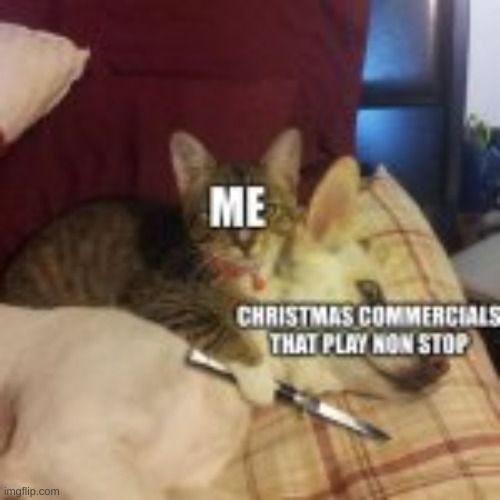 I am holding christmas commercials hostage | image tagged in cat hostage,christmas,christmas commercials | made w/ Imgflip meme maker