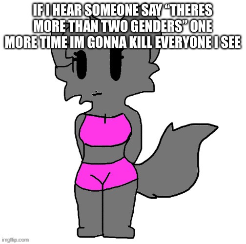 Annabeth full body | IF I HEAR SOMEONE SAY “THERES MORE THAN TWO GENDERS” ONE MORE TIME IM GONNA KILL EVERYONE I SEE | image tagged in female lordreaperus full body | made w/ Imgflip meme maker