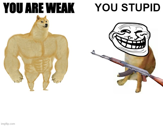 Buff Doge vs. Cheems | YOU ARE WEAK; YOU STUPID | image tagged in memes,buff doge vs cheems | made w/ Imgflip meme maker