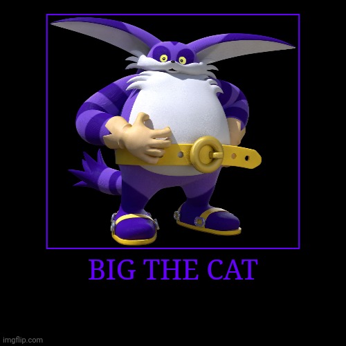 Big the Cat | BIG THE CAT | | image tagged in demotivationals,sonic the hedgehog,big the cat | made w/ Imgflip demotivational maker