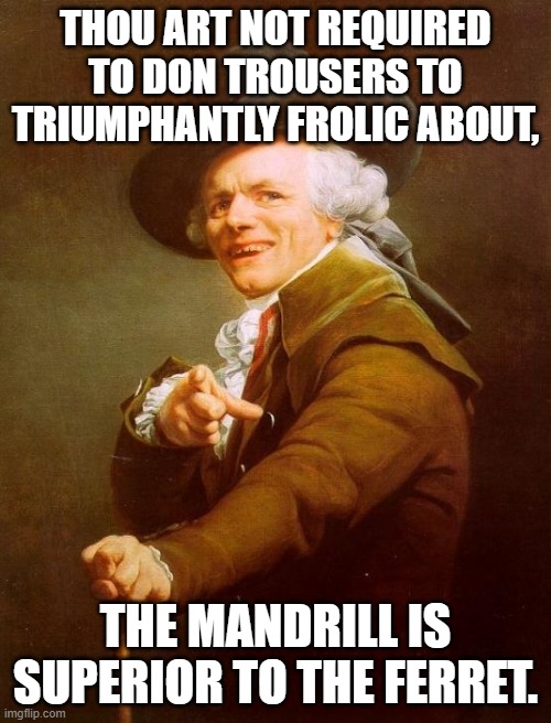 Joseph Ducreux You Don't Need Pants For the Victory Dance | THOU ART NOT REQUIRED TO DON TROUSERS TO TRIUMPHANTLY FROLIC ABOUT, THE MANDRILL IS SUPERIOR TO THE FERRET. | image tagged in memes,joseph ducreux,you don't need pants for the victory dance,i am weasel,i r baboon | made w/ Imgflip meme maker