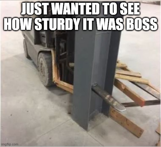 Pierced | JUST WANTED TO SEE HOW STURDY IT WAS BOSS | image tagged in you had one job | made w/ Imgflip meme maker