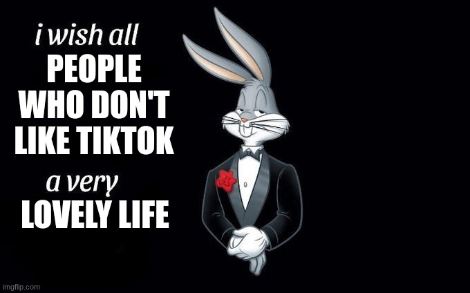 TikTok, your time is coming to an end. | PEOPLE WHO DON'T LIKE TIKTOK; LOVELY LIFE | image tagged in i wish all x a very y | made w/ Imgflip meme maker