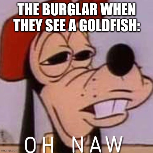OH NAW | THE BURGLAR WHEN THEY SEE A GOLDFISH: | image tagged in oh naw | made w/ Imgflip meme maker