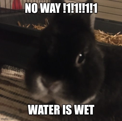 NO WAY !1!1!!1!1 WATER IS WET | made w/ Imgflip meme maker