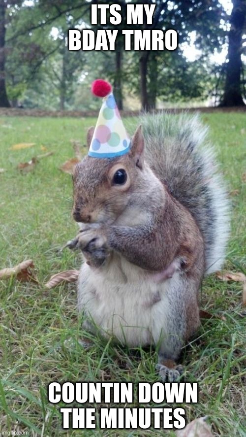 hooray | ITS MY BDAY TMRO; COUNTIN DOWN THE MINUTES | image tagged in memes,super birthday squirrel,birthday,happy birthday | made w/ Imgflip meme maker
