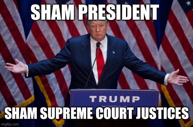 Donald Trump | SHAM PRESIDENT; SHAM SUPREME COURT JUSTICES | image tagged in donald trump | made w/ Imgflip meme maker