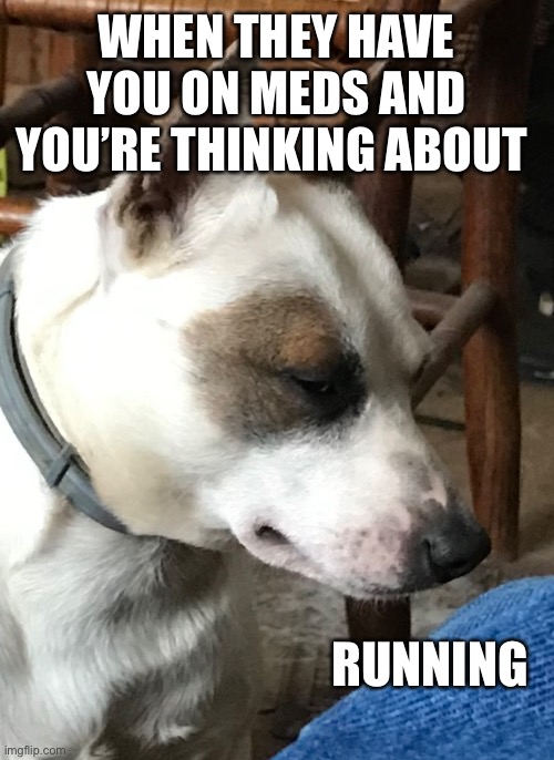 WHEN THEY HAVE YOU ON MEDS AND YOU’RE THINKING ABOUT; RUNNING | image tagged in memes | made w/ Imgflip meme maker