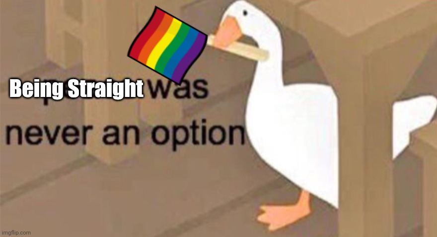 High Quality Being straight was never an option Blank Meme Template