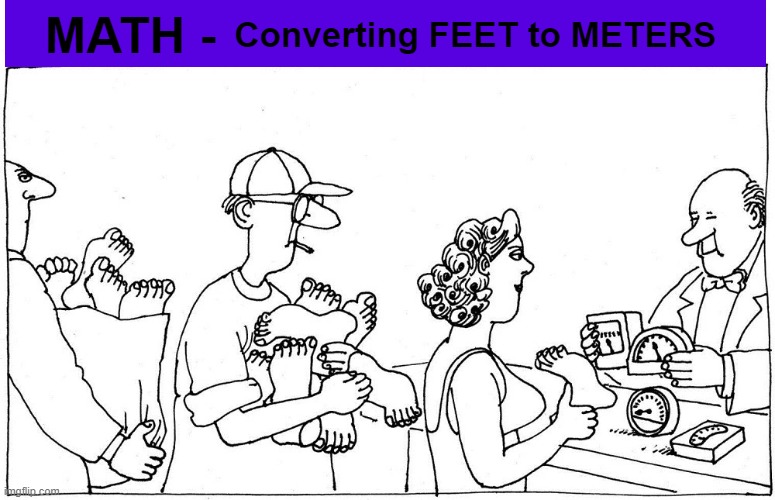 Converting Feet to Meters (It's Not What You Think) | image tagged in metric,feet,meters,kliban,funny,memes | made w/ Imgflip meme maker