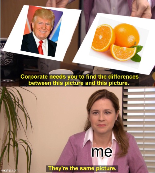 trump is orange (this is old sorry but its true) | me | image tagged in memes,they're the same picture | made w/ Imgflip meme maker