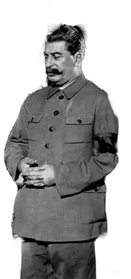 Stalin disgusting Blank Meme Template