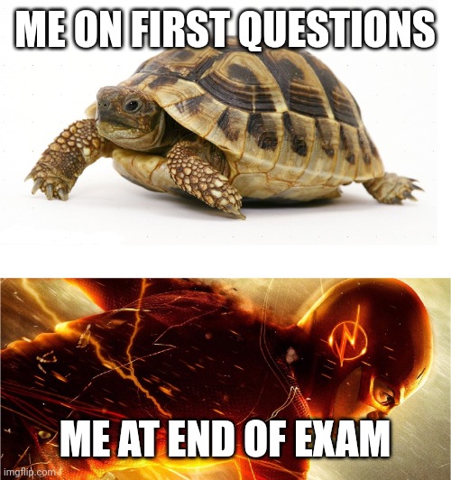 Slow vs Fast Meme | ME ON FIRST QUESTIONS; ME AT END OF EXAM | image tagged in slow vs fast meme,test,exams,pain,sloth,i am speed | made w/ Imgflip meme maker