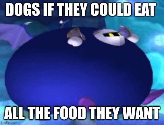 Ba | DOGS IF THEY COULD EAT; ALL THE FOOD THEY WANT | image tagged in fat meta knight | made w/ Imgflip meme maker