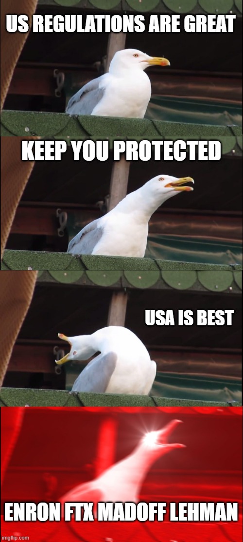 Inhaling Seagull | US REGULATIONS ARE GREAT; KEEP YOU PROTECTED; USA IS BEST; ENRON FTX MADOFF LEHMAN | image tagged in memes,inhaling seagull | made w/ Imgflip meme maker