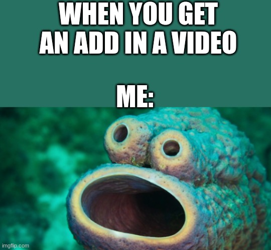 ADDS:( | WHEN YOU GET AN ADD IN A VIDEO; ME: | image tagged in weird,meme | made w/ Imgflip meme maker