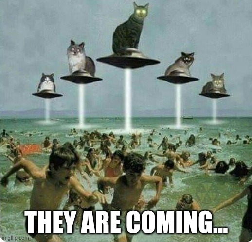 They are coming to invade earth | THEY ARE COMING... | image tagged in cats,they are coming,invasion | made w/ Imgflip meme maker