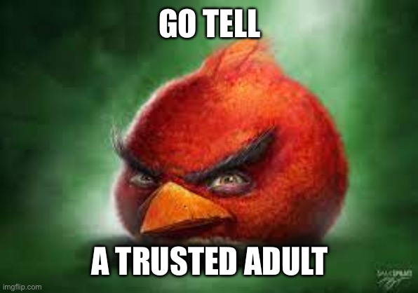 Realistic Red Angry Birds | GO TELL A TRUSTED ADULT | image tagged in realistic red angry birds | made w/ Imgflip meme maker