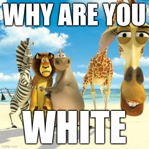 why are you white | WHY ARE YOU WHITE | image tagged in why are you white | made w/ Imgflip meme maker