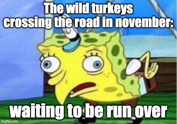 Mocking Spongebob Meme | The wild turkeys crossing the road in november:; waiting to be run over | image tagged in memes,mocking spongebob | made w/ Imgflip meme maker