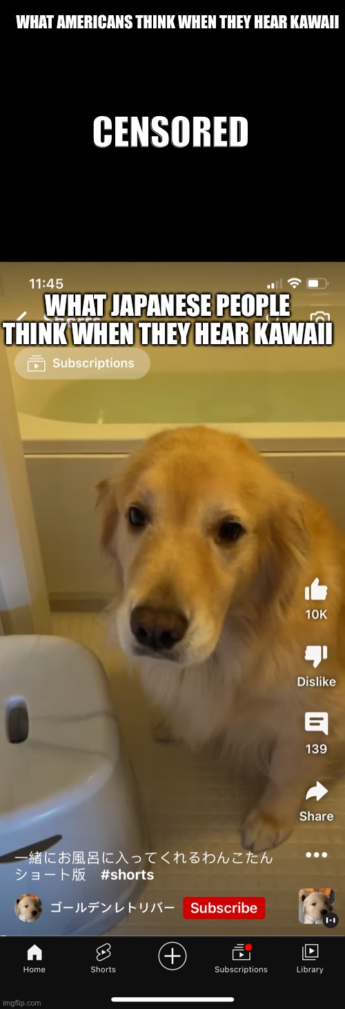 Something that is actually, “kawaī” | WHAT AMERICANS THINK WHEN THEY HEAR KAWAII; CENSORED; WHAT JAPANESE PEOPLE THINK WHEN THEY HEAR KAWAII | image tagged in america,japan,kawaii,golden retriever,beautiful | made w/ Imgflip meme maker