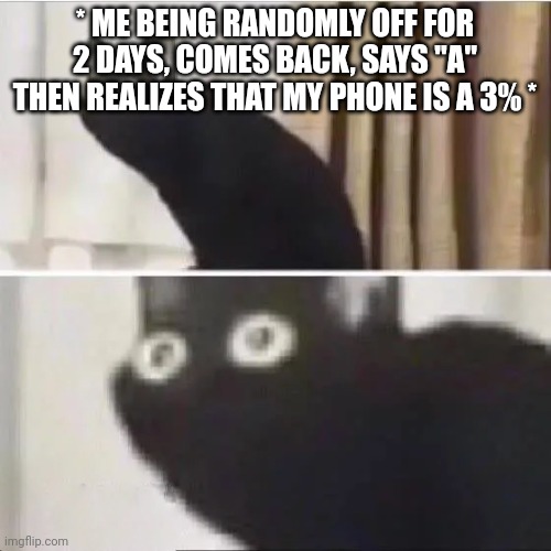 Welp- Cya- | * ME BEING RANDOMLY OFF FOR 2 DAYS, COMES BACK, SAYS "A" THEN REALIZES THAT MY PHONE IS A 3% * | image tagged in scared cat | made w/ Imgflip meme maker