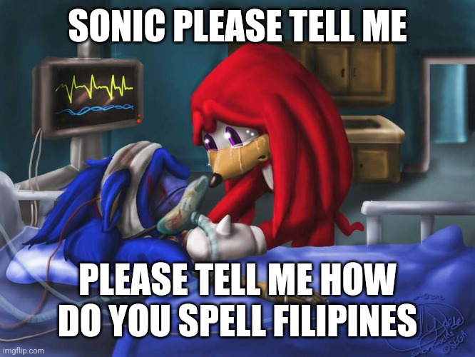 sonic please | SONIC PLEASE TELL ME; PLEASE TELL ME HOW DO YOU SPELL FILIPINES | made w/ Imgflip meme maker