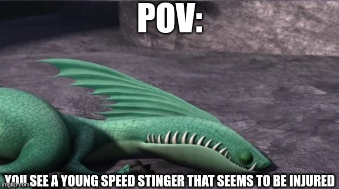 Rules: No ERPS. No rudeness, no weaponized OCs, no early roleplay endings | POV:; YOU SEE A YOUNG SPEED STINGER THAT SEEMS TO BE INJURED | image tagged in httyd,how to train your dragon,dragon,pov,roleplaying | made w/ Imgflip meme maker