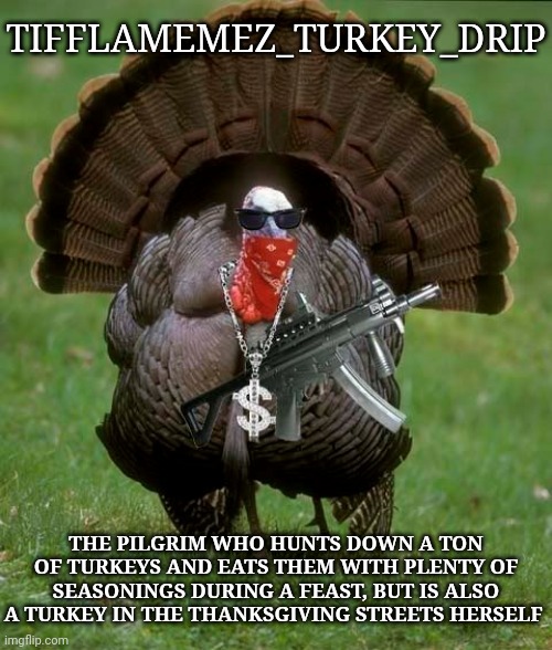 Turkey | TIFFLAMEMEZ_TURKEY_DRIP; THE PILGRIM WHO HUNTS DOWN A TON OF TURKEYS AND EATS THEM WITH PLENTY OF SEASONINGS DURING A FEAST, BUT IS ALSO A TURKEY IN THE THANKSGIVING STREETS HERSELF | image tagged in gangsta turkey,tifflamemez,imgflip user,turkey,memes,drip | made w/ Imgflip meme maker
