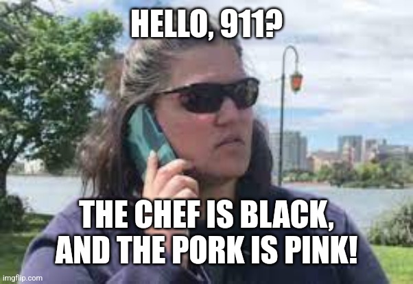 karen on phone | HELLO, 911? THE CHEF IS BLACK,
AND THE PORK IS PINK! | image tagged in karen on phone | made w/ Imgflip meme maker