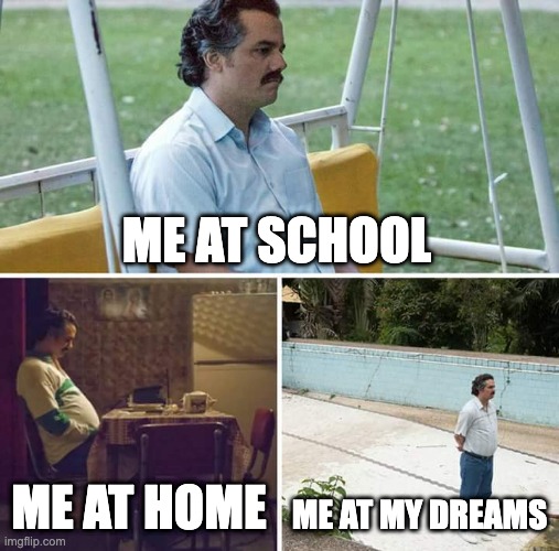 Sad Pablo Escobar | ME AT SCHOOL; ME AT HOME; ME AT MY DREAMS | image tagged in memes,sad pablo escobar | made w/ Imgflip meme maker
