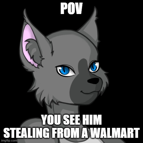 POV; YOU SEE HIM STEALING FROM A WALMART | image tagged in travis the bluesteel folf spartan | made w/ Imgflip meme maker