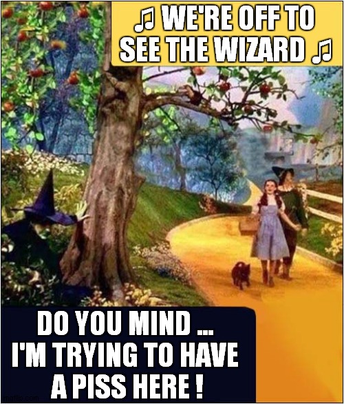 Wicked Witch Taking A Wizz ! | ♫ WE'RE OFF TO 
SEE THE WIZARD ♫; DO YOU MIND ...
I'M TRYING TO HAVE
 A PISS HERE ! | image tagged in wizard of oz,singing,wicked witch,piss,front page | made w/ Imgflip meme maker