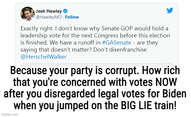 laughable | Because your party is corrupt. How rich
that you're concerned with votes NOW
after you disregarded legal votes for Biden
when you jumped on the BIG LIE train! | image tagged in scumbag,josh,scumbag republicans | made w/ Imgflip meme maker