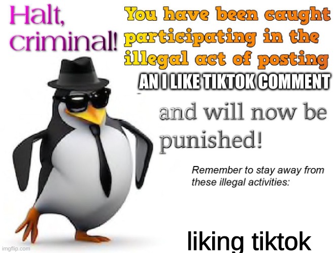 halt criminal! | AN I LIKE TIKTOK COMMENT liking tiktok | image tagged in halt criminal | made w/ Imgflip meme maker